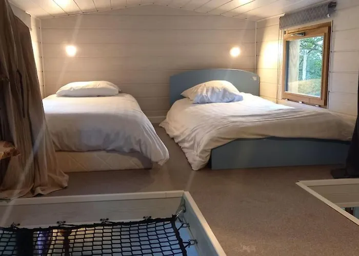Mini Maison Tiny House Et Son Bain Nordique