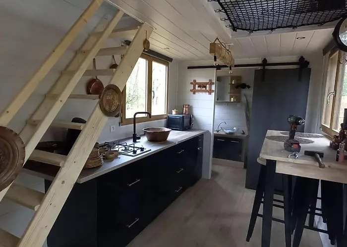 Mini Maison Tiny House Et Son Bain Nordique