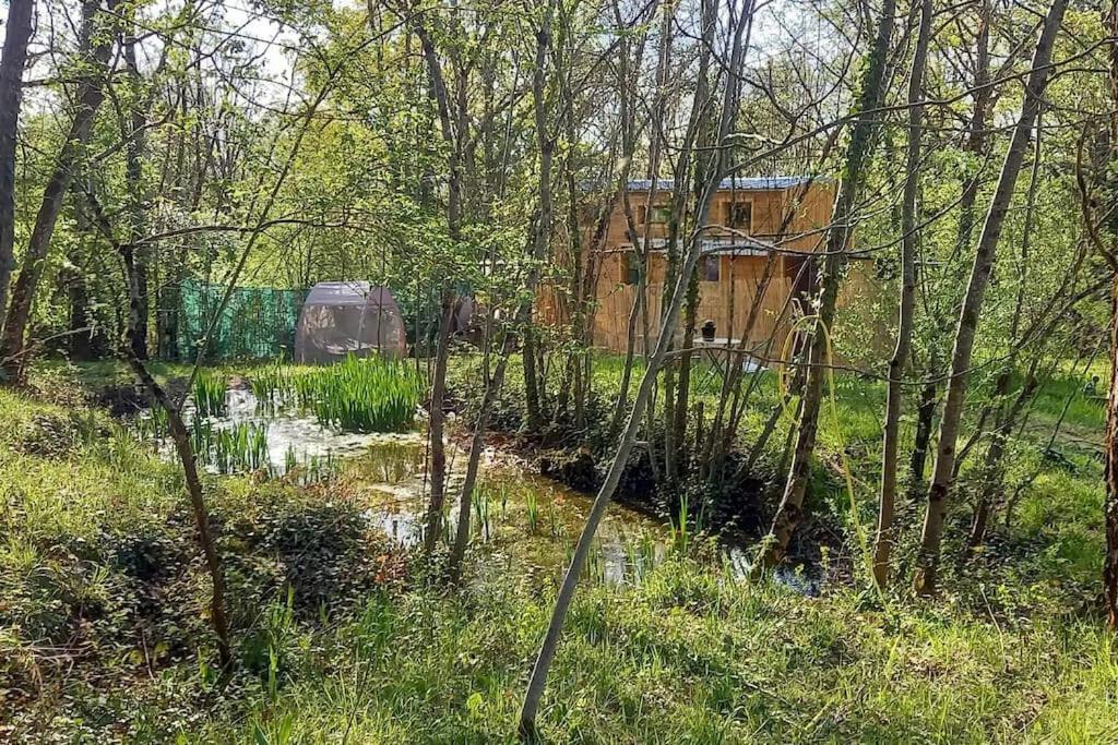Mini Maison Tiny House Et Son Bain Nordique