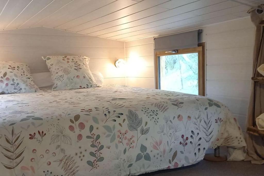 Mini Maison Tiny House Et Son Bain Nordique Holiday home