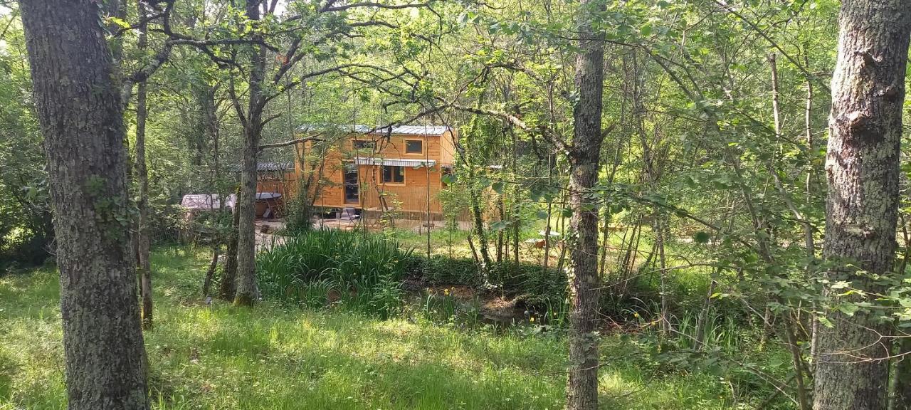 Mini Maison Tiny House Et Son Bain Nordique * Figeac
