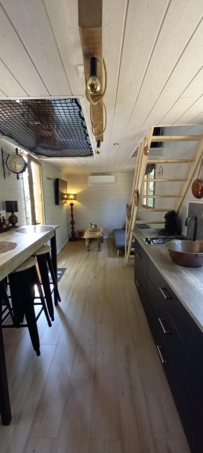 Mini Maison Tiny House Et Son Bain Nordique *