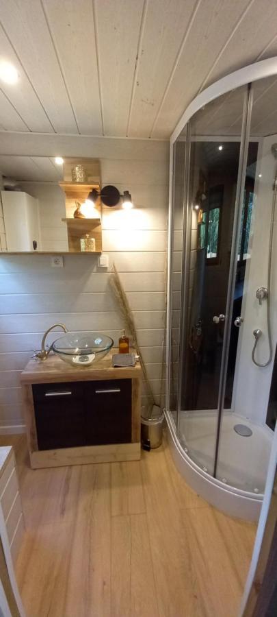 Mini Maison Tiny House Et Son Bain Nordique